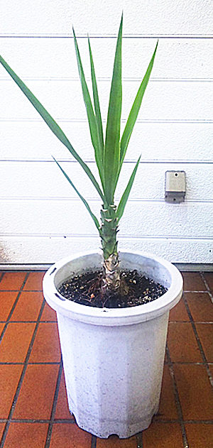 20121221-1.jpg