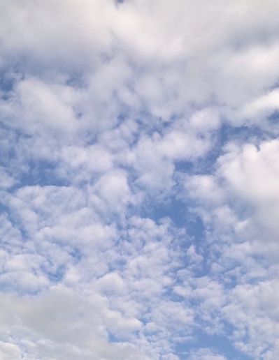 20130612.jpg