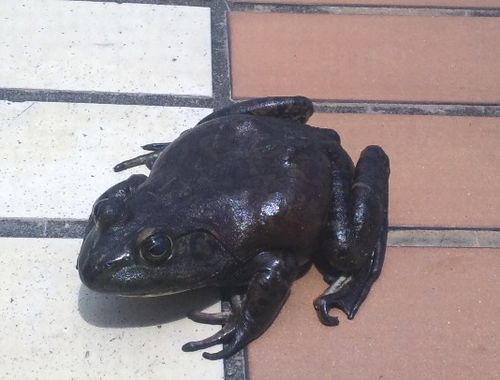 20130712.jpg