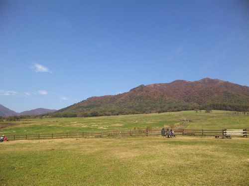 20131116.jpg
