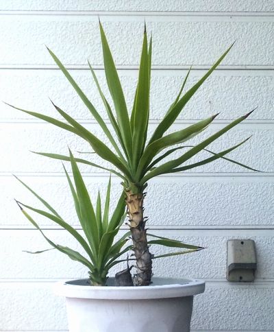 20140402.jpg