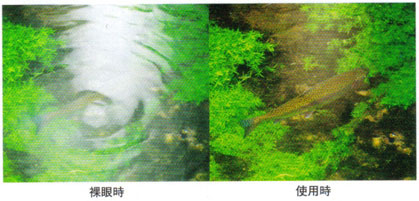 2008-06-02 19;27;10.jpg