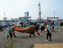 SANY0022.JPG