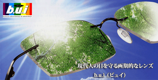 bui001.gif